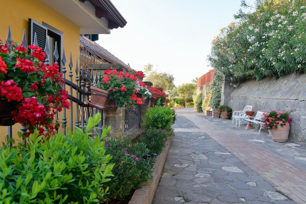 Villa Elaia Santa Maria di Castellabate Extérieur photo
